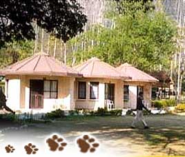 Ramganga Resort Corbett